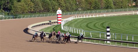 off track betting denver